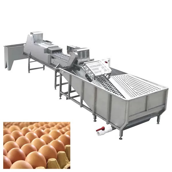 Dây Chuyền Rửa Và Sấy Khô Trứng